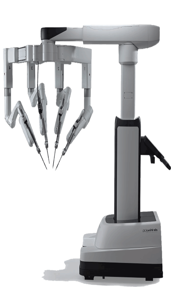 Davinci-Web MICS