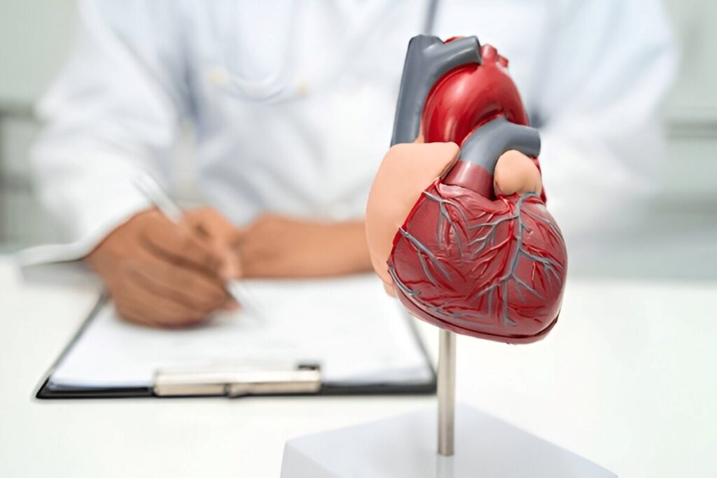 When to See a Heart Specialist